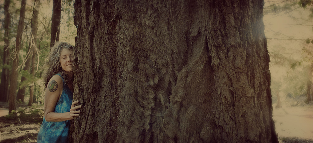 Brenda Laurel tree hug